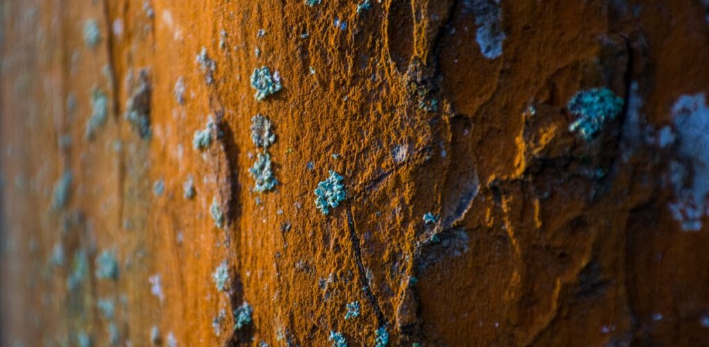 Reclaim Spongy floors and rusty bilges; a challenge