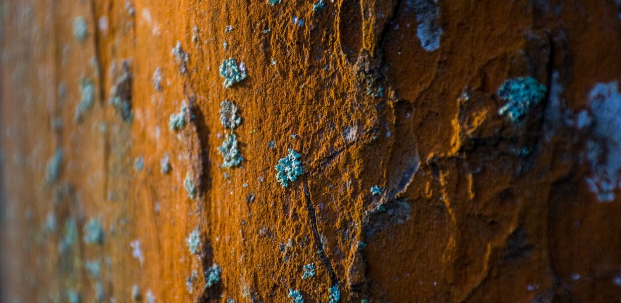 Rusty Bilge